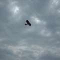 DSCF0118