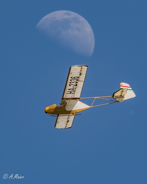 2023.05.28 Graben Neudorf-1650.JPG